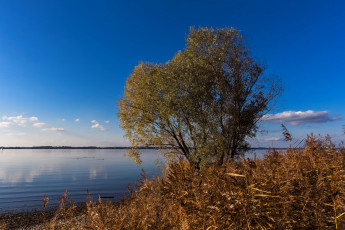 Картинка природа реки озера простор