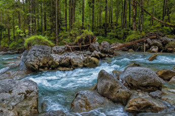 Картинка природа реки озера простор