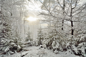 Картинка природа зима простор