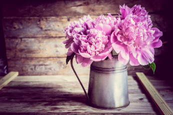 Картинка цветы пионы доски кувшин букет