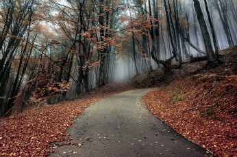 Картинка природа дороги простор