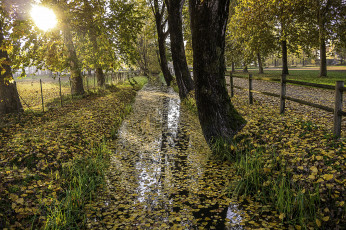 Картинка природа пейзажи простор