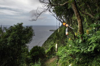 Картинка природа пейзажи простор