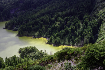 Картинка природа побережье простор