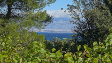 Картинка природа пейзажи простор