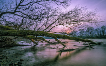 Картинка природа реки озера простор