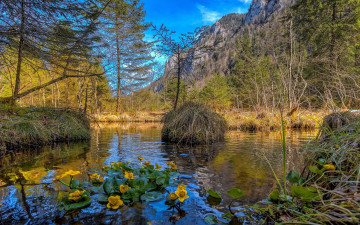 Картинка природа реки озера простор