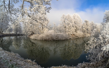 Картинка природа реки озера простор