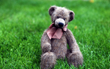 Картинка разное игрушки медвежонок