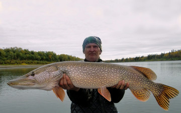 Картинка разное рыбалка +рыбаки +улов +снасти улов спорт