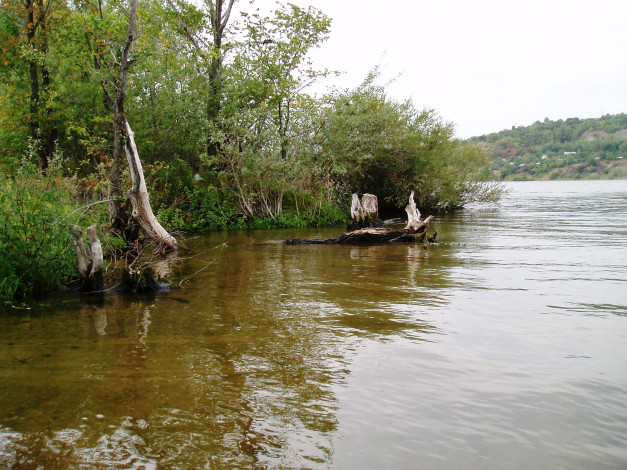 Обои картинки фото красивый уголок, природа, реки, озера, водоем, летом