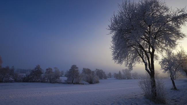 Обои картинки фото природа, зима, простор