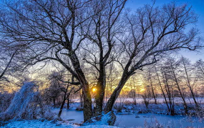 Обои картинки фото природа, зима, простор