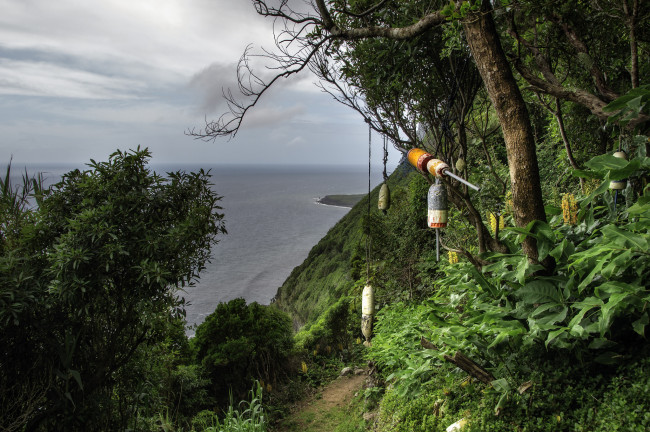 Обои картинки фото природа, пейзажи, простор