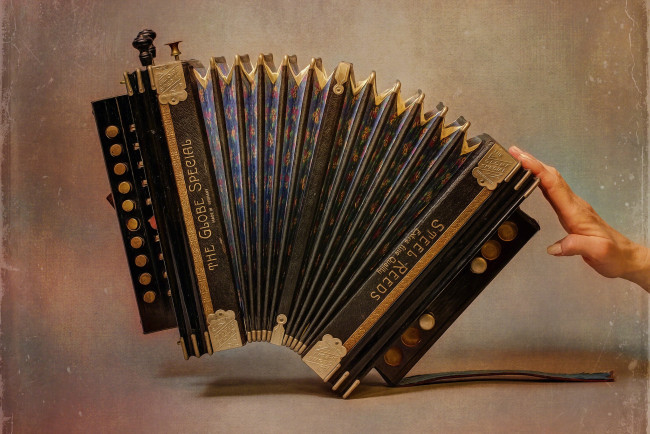 Обои картинки фото музыка, -музыкальные инструменты, гармонь