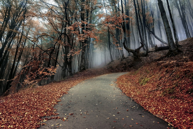 Обои картинки фото природа, дороги, простор