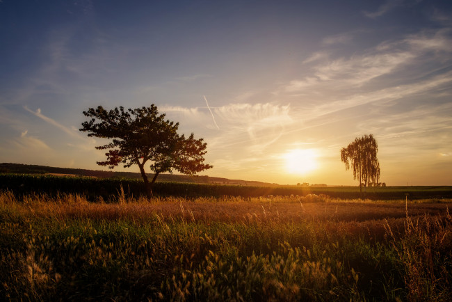 Обои картинки фото природа, восходы, закаты, простор