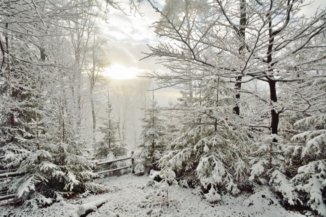 Обои картинки фото природа, зима, простор