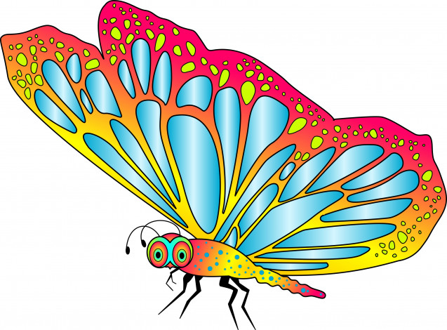 Обои картинки фото векторная графика, животные , animals, фон, бабочка