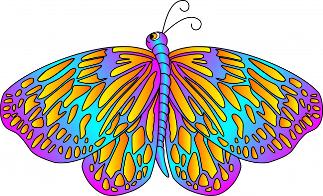 Обои картинки фото векторная графика, животные , animals, бабочка, фон