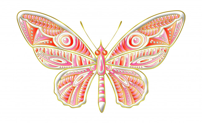 Обои картинки фото векторная графика, животные , animals, бабочка, фон