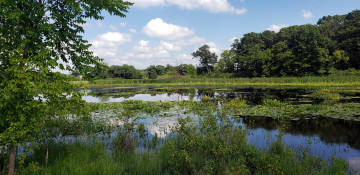 Картинка minnesota usa природа реки озера