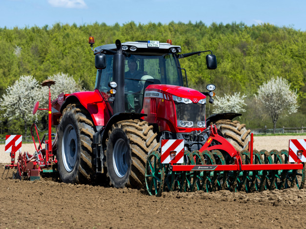 Обои картинки фото техника, тракторы, massey, ferguson