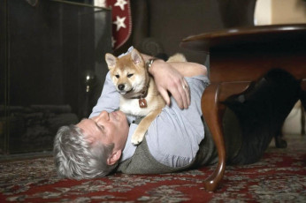 Картинка кино+фильмы hachiko +a+dogs+story мужчина щенок ковер