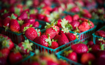 Картинка еда клубника +земляника крупная спелая