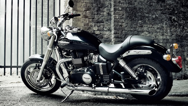 Обои картинки фото triumph speedmaster 2010, мотоциклы, triumph, байк, решентка, стена