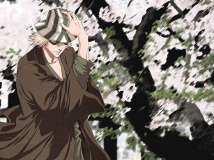 Картинка аниме bleach kisuke urahara