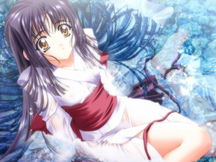 Картинка аниме moonlight lady