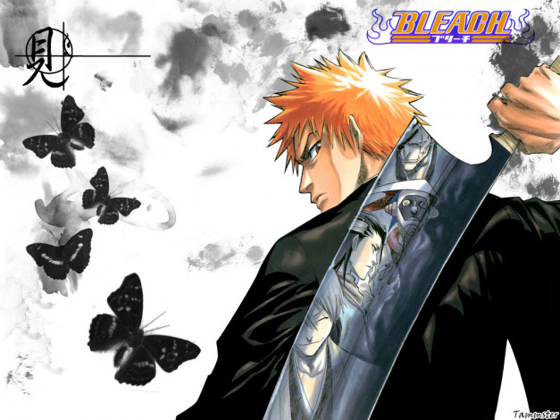 Обои картинки фото аниме, bleach