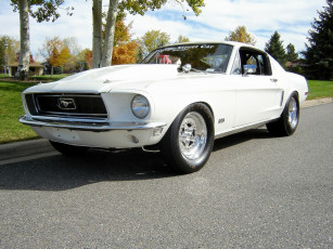 Картинка автомобили ford