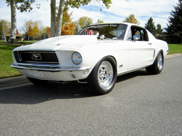 Обои картинки фото автомобили, ford