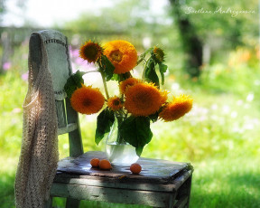 Картинка светлана адриянова цветы подсолнухи