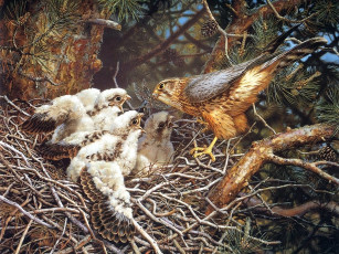 Картинка рисованные животные