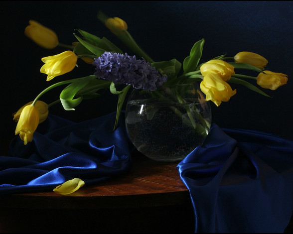 Обои картинки фото ира, быкова, цветы, тюльпаны