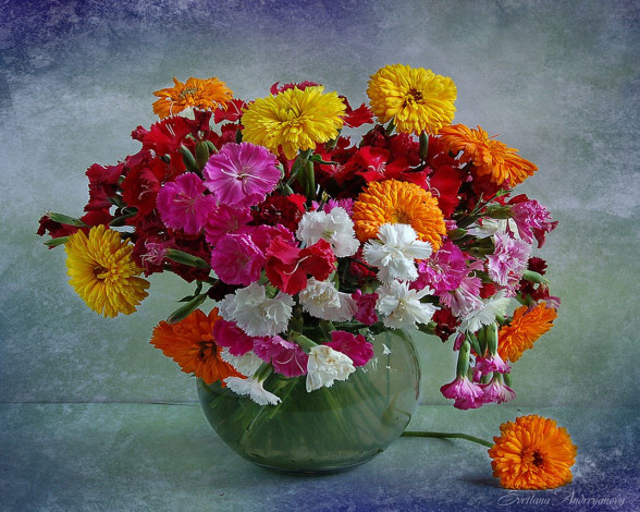 Обои картинки фото светлана, адриянова, цветы, букеты, композиции