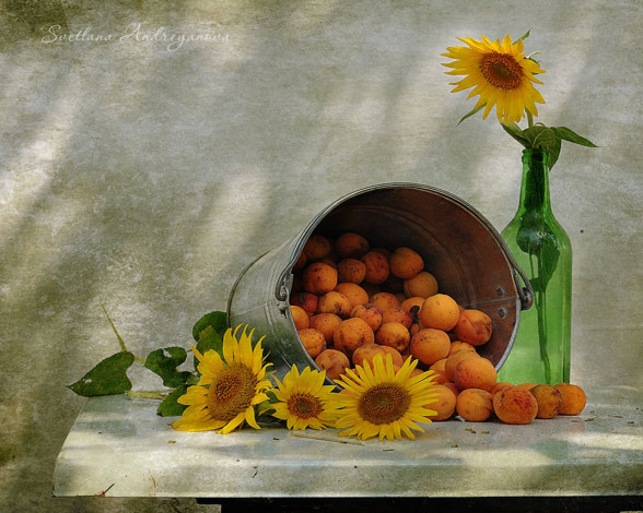 Обои картинки фото светлана, адриянова, еда, натюрморт