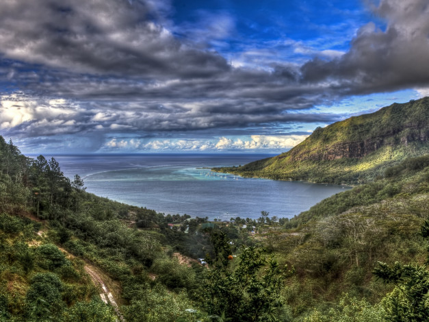 Обои картинки фото 