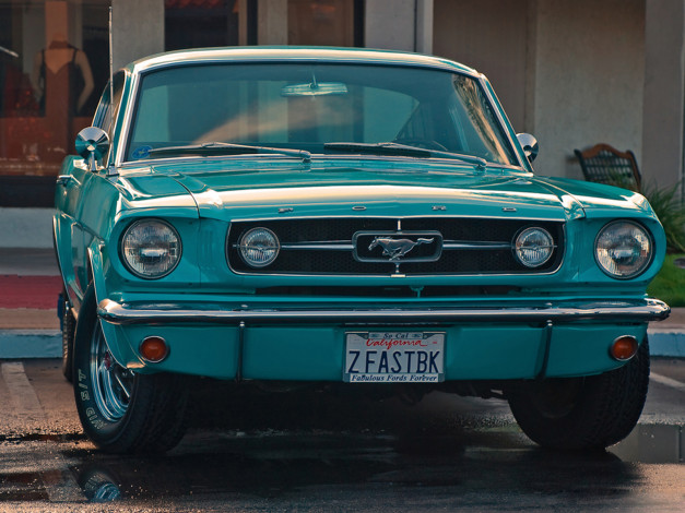 Обои картинки фото автомобили, mustang
