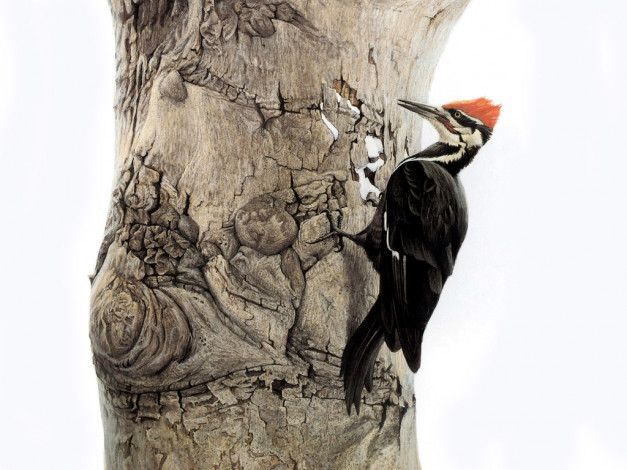 Обои картинки фото рисованные, животные