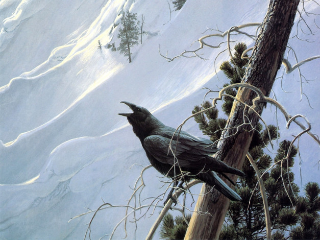 Обои картинки фото рисованные, животные