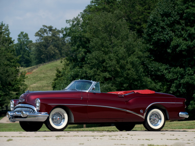 Обои картинки фото skylark, автомобили, buick