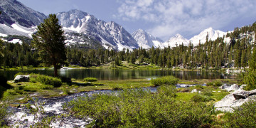 Картинка природа пейзажи горы река деревья панорама