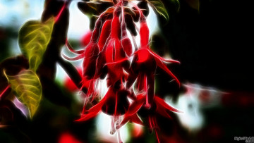 Картинка 3д графика flowers цветы зелёный красный тёмный