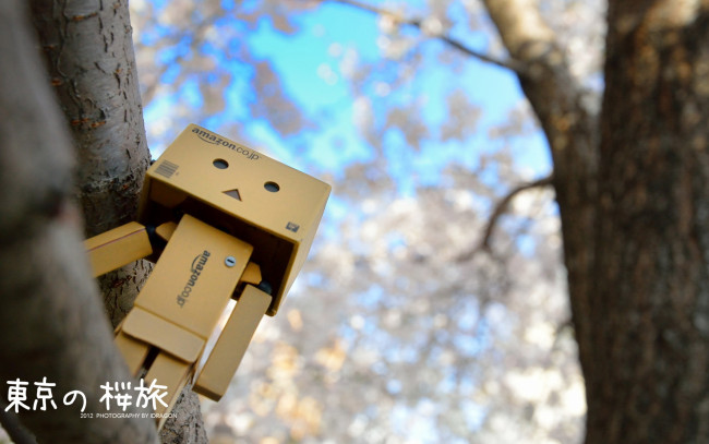 Обои картинки фото разное, данбо, danboard, коробочки, дерево