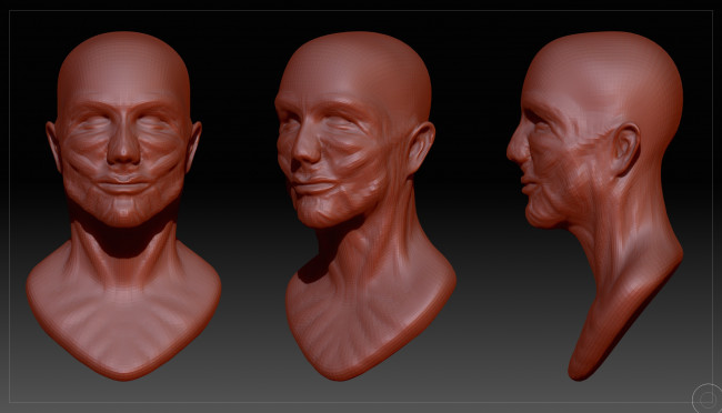 Обои картинки фото 3д графика, _science fiction, лицо