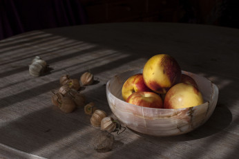 Картинка еда фрукты +ягоды плоды